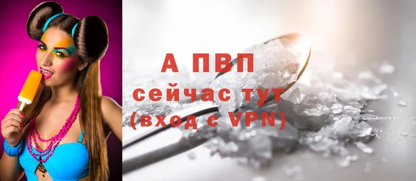 твердый Абаза