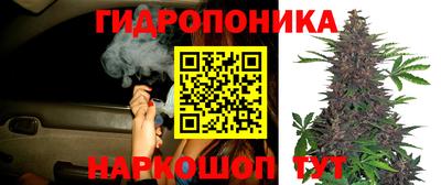 a pvp Аша