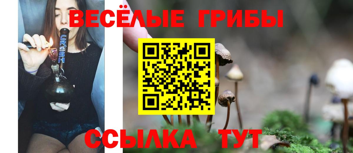 Псилоцибиновые грибы мухоморы  Вход с VPN  Курск 